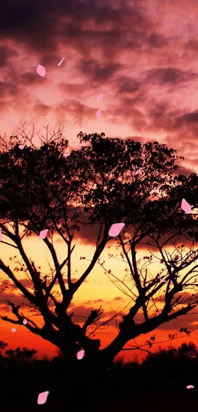 Silhouette of a tree against a vibrant orange sunset sky.