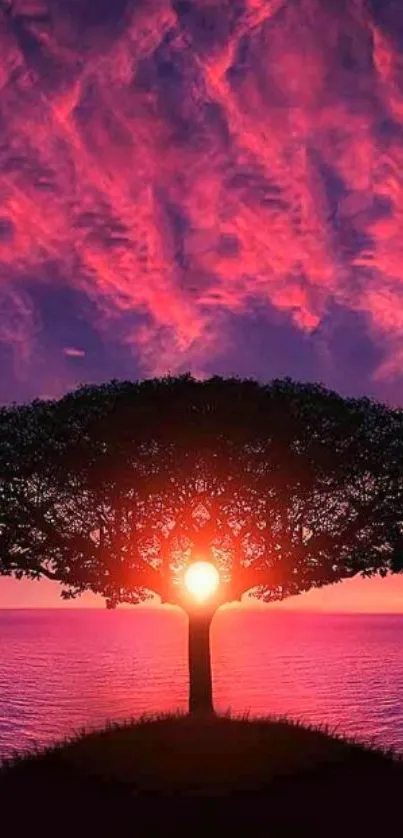 Stunning wallpaper with tree silhouette against a vibrant sunset sky.