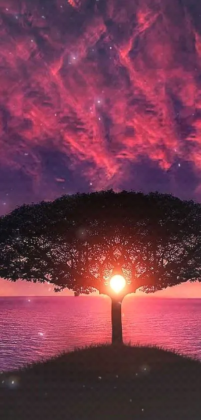 Dramatic sunset tree with vibrant sky and ocean in the background.