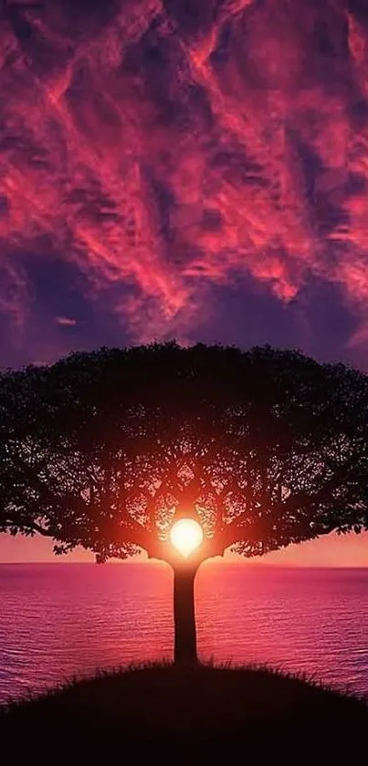 Beautiful tree silhouette at sunset with vibrant purple and pink sky.