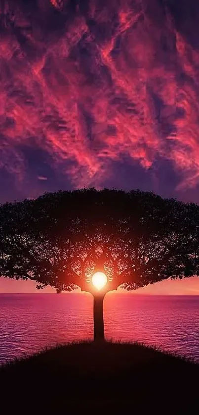 Vibrant sunset with tree silhouette against a colorful sky and ocean horizon.