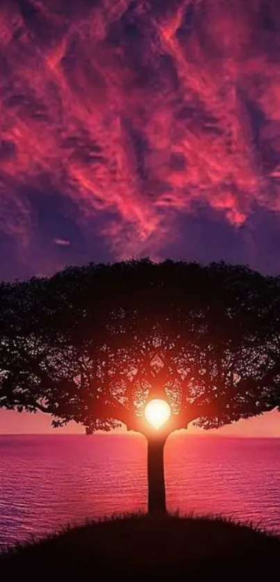 Silhouette of a tree with vibrant purple sunset sky background.