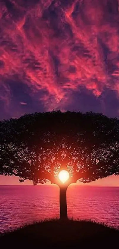 A vibrant sunset behind a lone tree by the ocean.