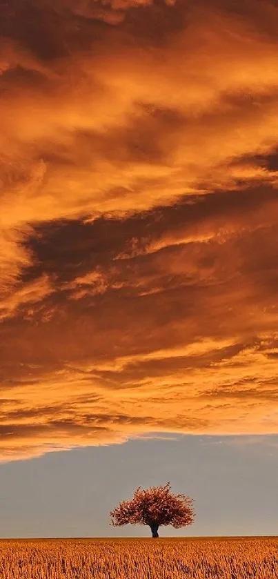 A solitary tree against a vibrant orange sunset sky.