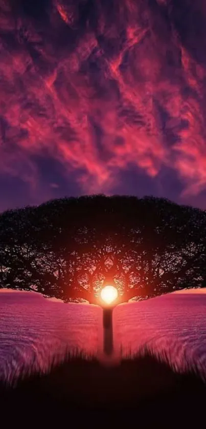 Stunning red and purple sunset with tree silhouette wallpaper.