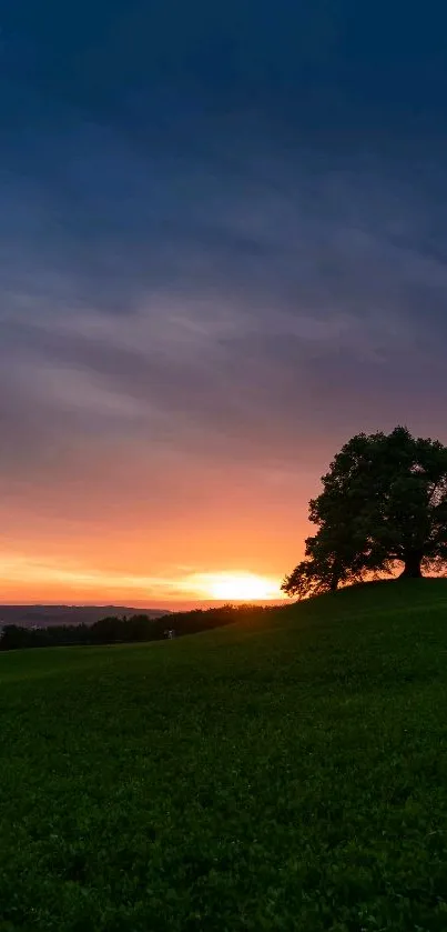 Solitary tree against vibrant sunset sky, tranquil nature wallpaper.