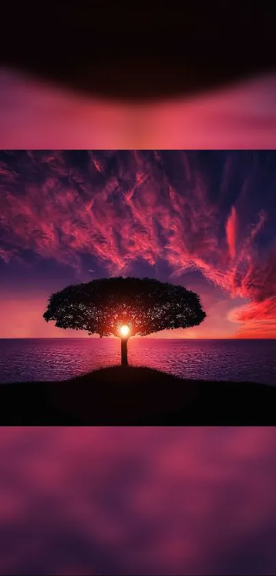 Silhouette of a tree against a vibrant sunset sky over the ocean.