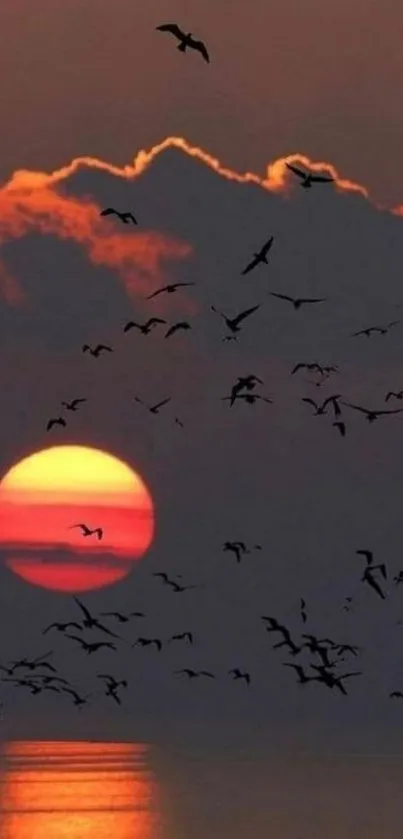 Bird silhouettes against a dramatic orange sunset.