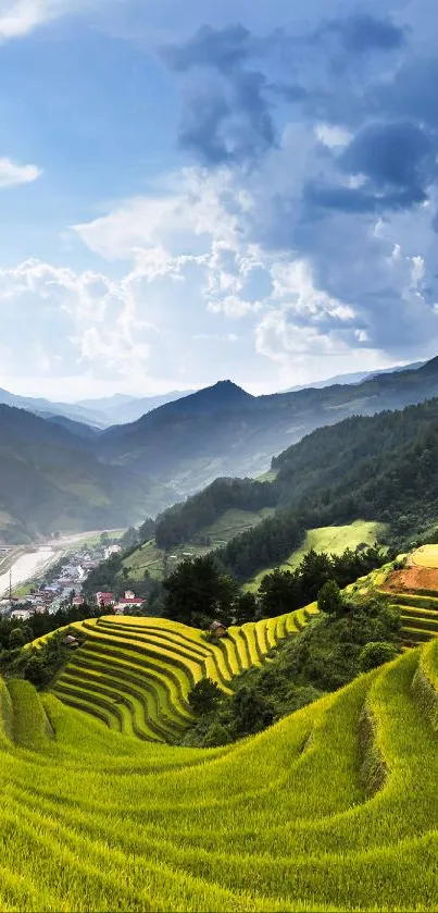 Terraced fields and mountains under a blue sky mobile wallpaper.