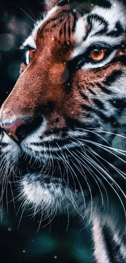 Majestic tiger portrait wallpaper for phones.