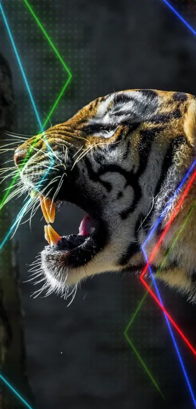 Roaring tiger with a dark forest backdrop.