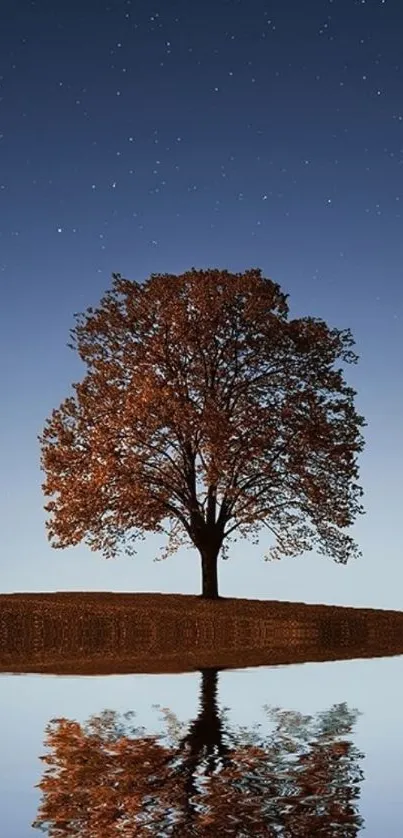 Solitary tree reflected on calm water under a starry dark blue sky.