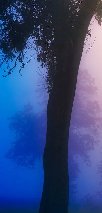 Misty tree silhouette with blue and purple gradient background.