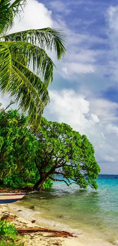 Tropical beach with palm trees, blue ocean, and cloudy sky.