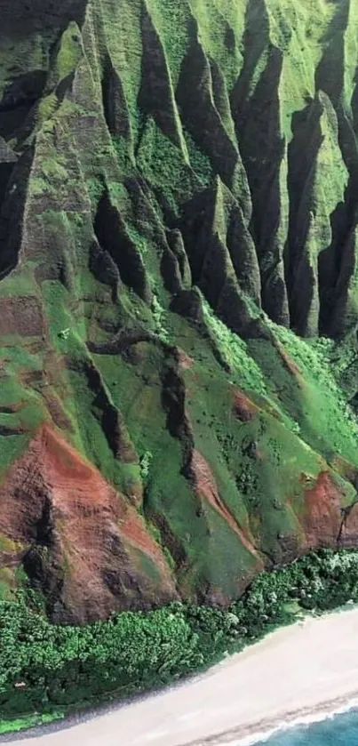 Lush green cliffs and blue ocean wallpaper.