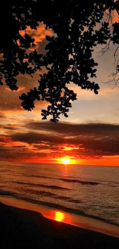 Orange sunset over ocean with silhouetted trees and beach.