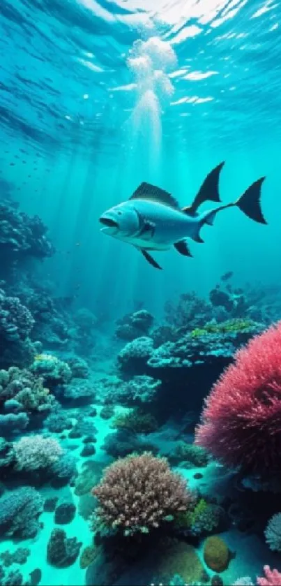 Vibrant underwater coral reef with fish and clear blue sea.