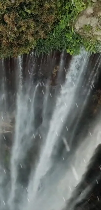 Vertical waterfall cascading beside lush greenery.