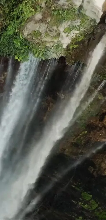 Vertical waterfall with lush greenery, perfect for nature-themed mobile wallpaper.