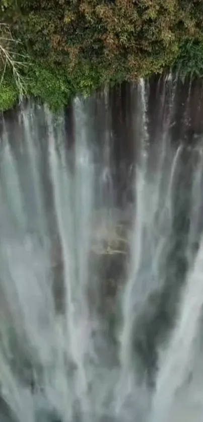 Stunning vertical waterfall with green foliage.