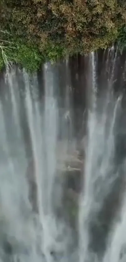 Aerial view of a waterfall with lush green surroundings.