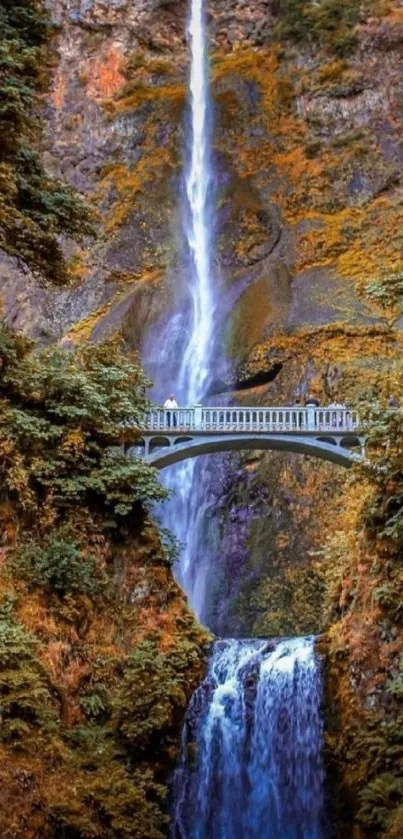 Stunning waterfall with a bridge framed by autumn foliage.