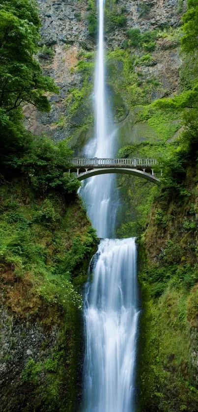 Waterfall flowing under a bridge with lush green surroundings.