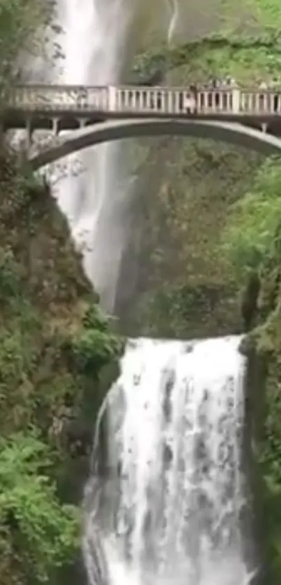 Waterfall flowing under a bridge framed by lush green nature.