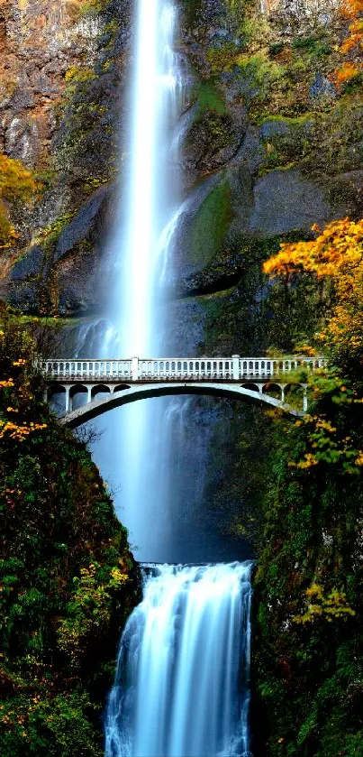 Waterfall with bridge in autumn forest, vibrant colors.