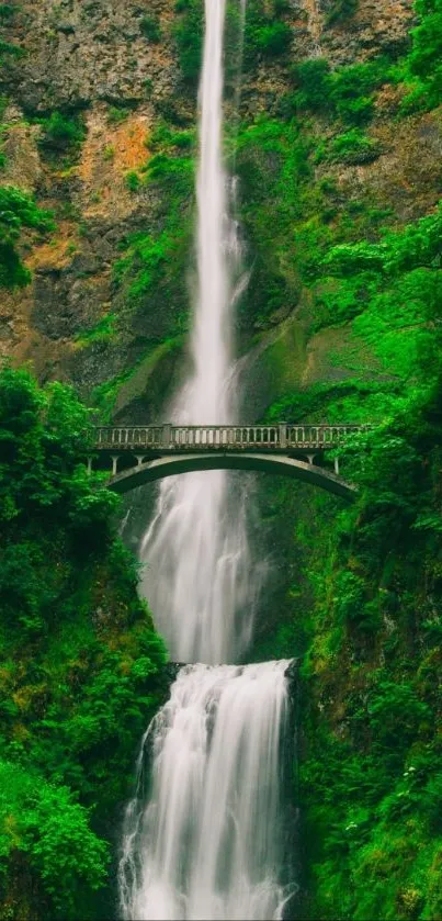 Mobile wallpaper featuring a stunning waterfall under a bridge with lush greenery.