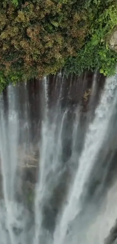 Top view of a waterfall cascading with lush greenery surrounding.