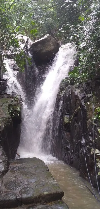 Serene waterfall in a lush green forest setting.