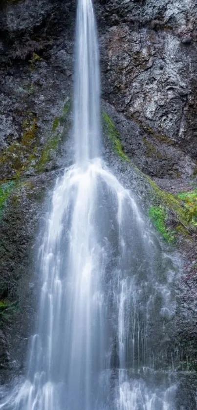 Serene waterfall cascading in lush forest.