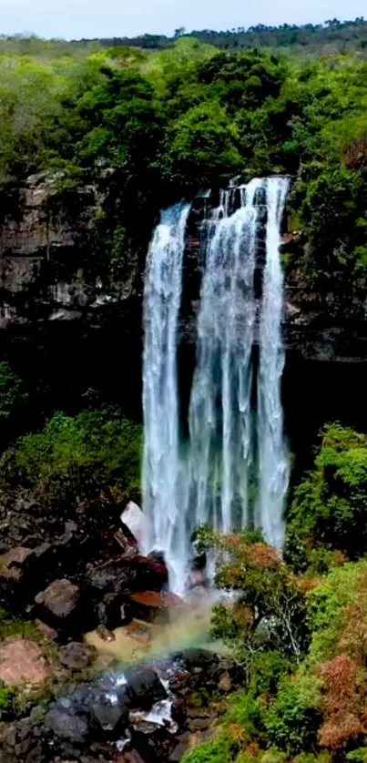 A breathtaking waterfall in a lush forest landscape.