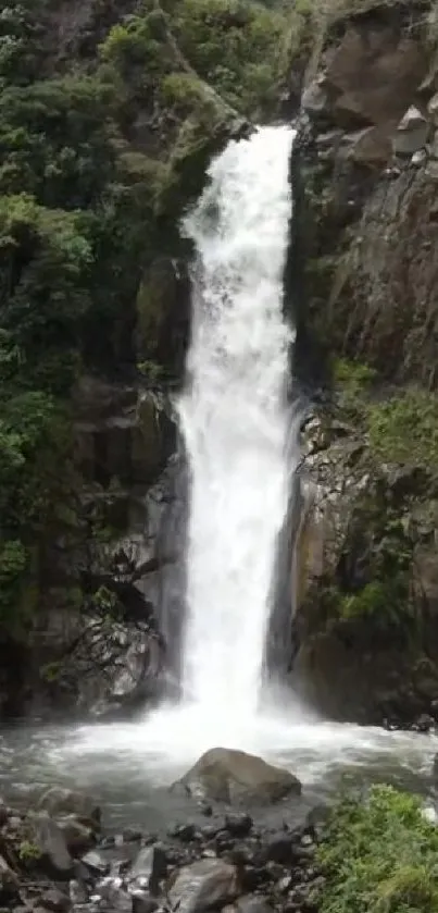 A beautiful waterfall in a lush green forest.