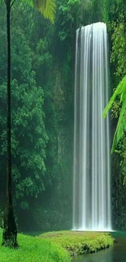 Serene waterfall in lush green forest wallpaper.