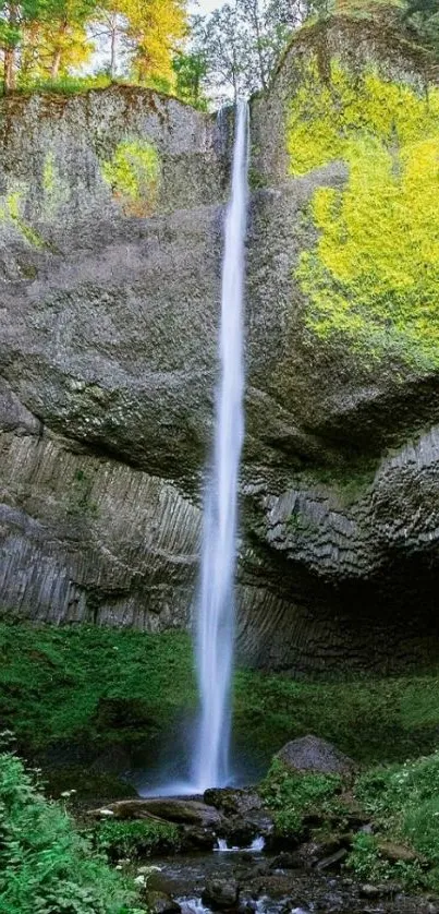 Vibrant waterfall in lush green landscape.