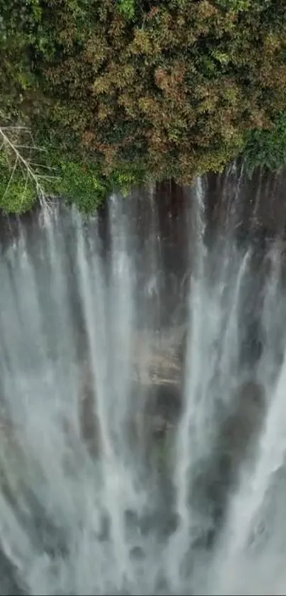 Aerial view of a majestic waterfall surrounded by lush greenery in a forest.