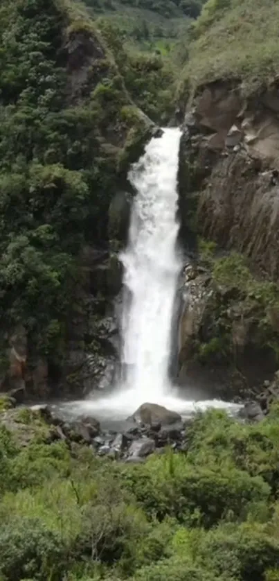 A picturesque waterfall amidst lush greenery.