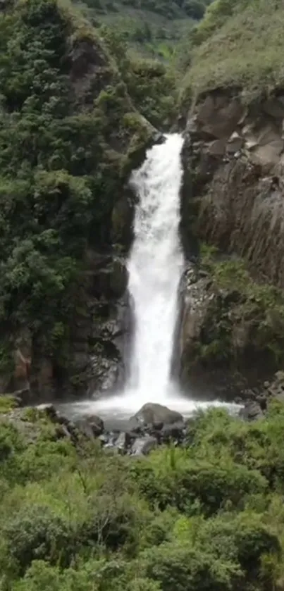 Waterfall cascading through lush green forest landscape.