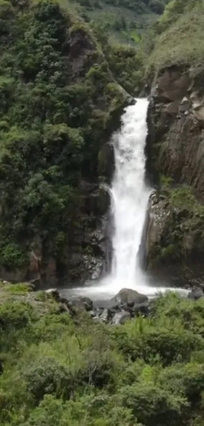 Beautiful waterfall in a lush green landscape.