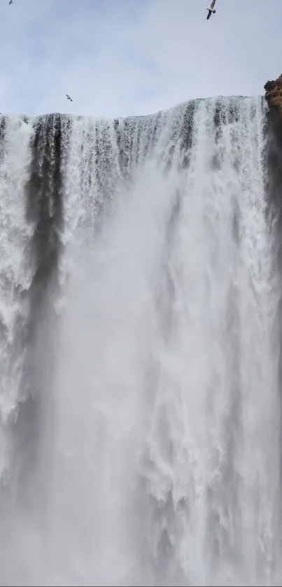 Stunning waterfall cascading over a cliff with birds flying above.