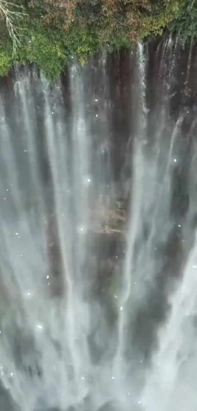 Vertical waterfall surrounded by lush greenery