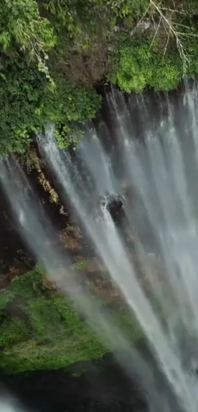 A captivating waterfall with lush greenery, perfect for a nature-themed wallpaper.