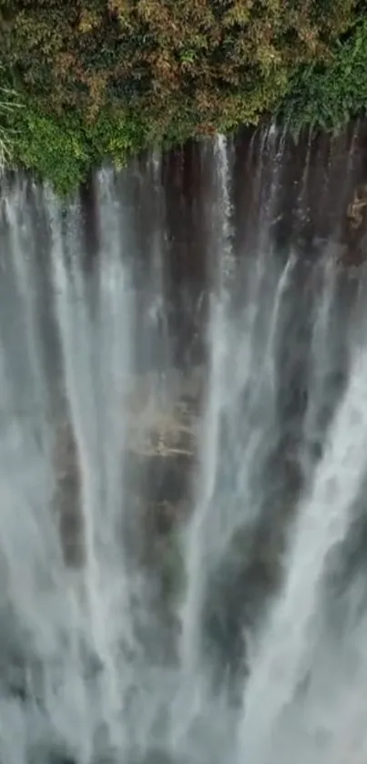 Waterfall amidst lush greenery on a calm day.