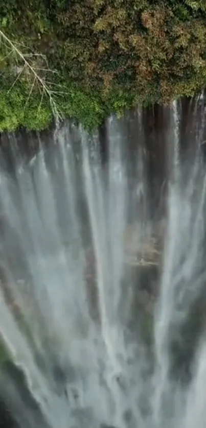 A stunning waterfall cascades down lush greenery.