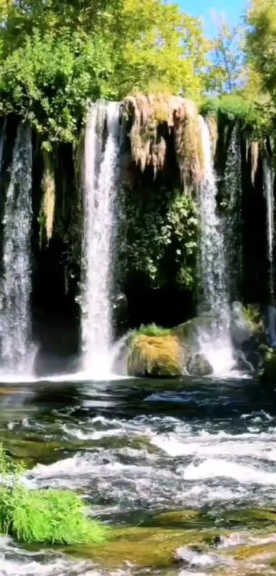 Mobile wallpaper featuring a stunning waterfall with lush green surroundings.