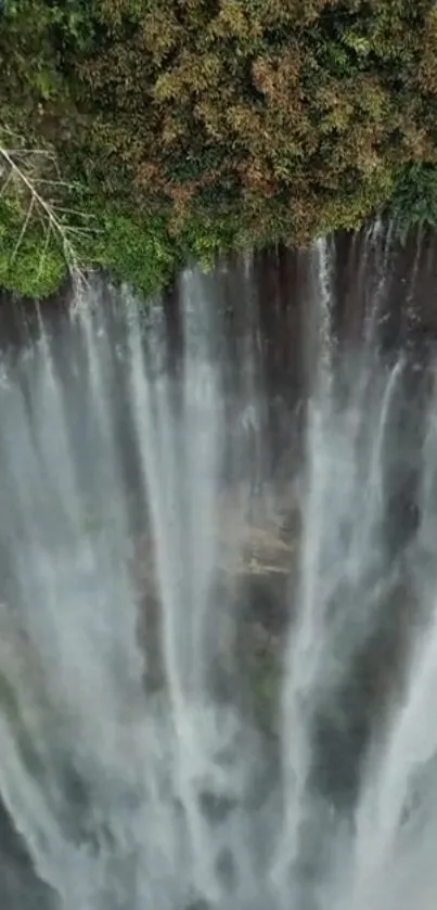 A breathtaking view of a waterfall cascading amidst lush green foliage.