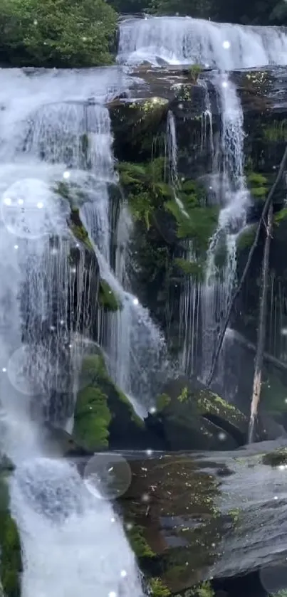 Waterfall cascading in lush green forest setting.