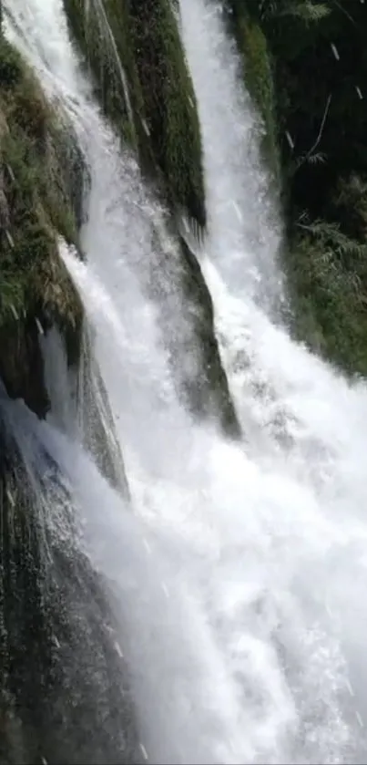 Beautiful waterfall wallpaper with lush greenery.